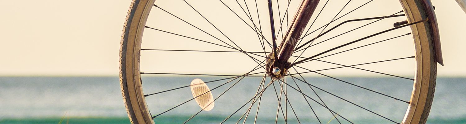BikeVentura, Bike Coalition